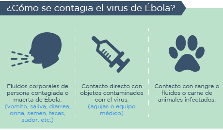 Te puede interesar Clínica Las Condes